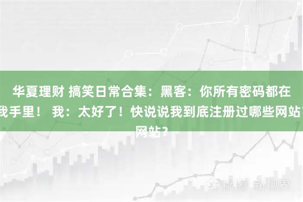 华夏理财 搞笑日常合集：黑客：你所有密码都在我手里！ 我：太好了！快说说我到底注册过哪些网站？