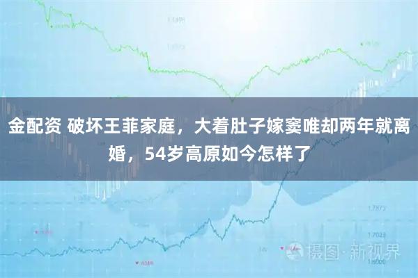 金配资 破坏王菲家庭,大着肚子嫁窦唯却两年就离婚,54岁高原如今怎样了